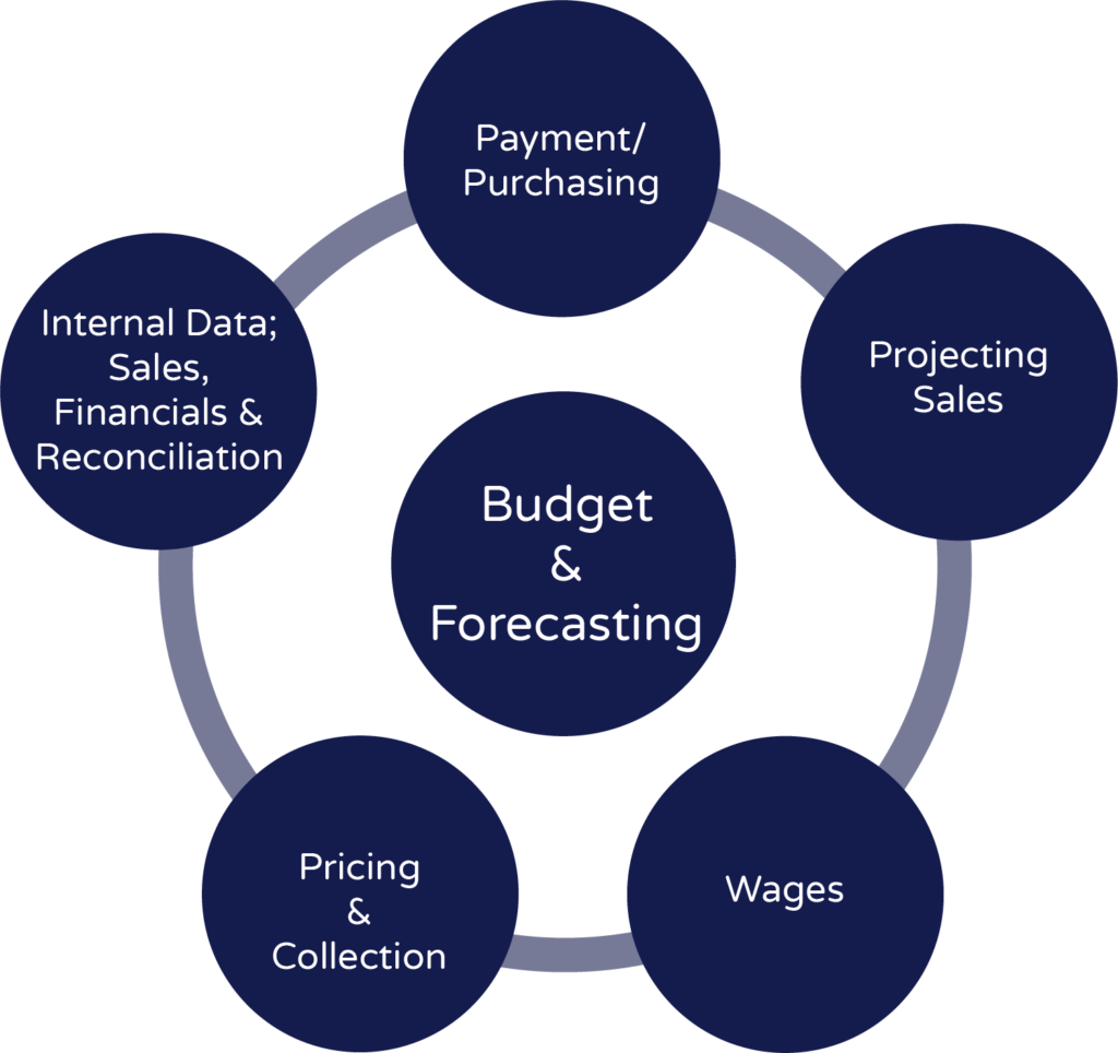 budget in business planning
